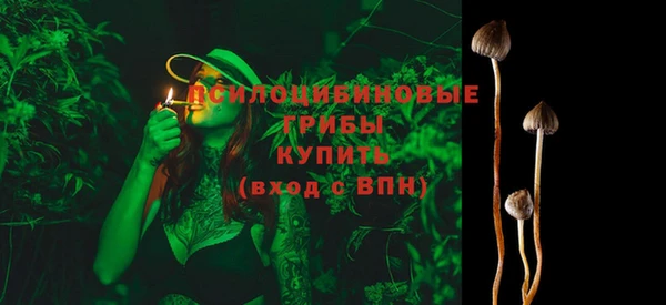 гашик Балахна