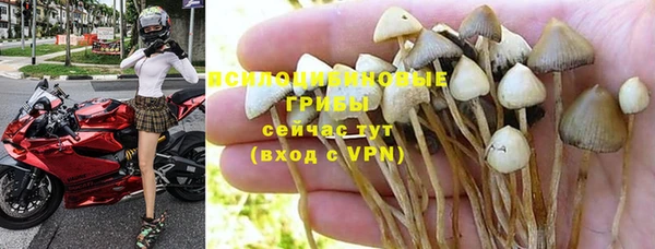 гашик Балахна