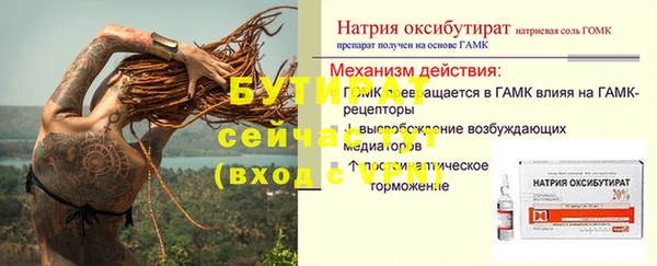 гашик Балахна