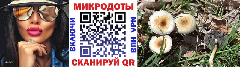 что такое   Калуга  Псилоцибиновые грибы MAGIC MUSHROOMS 